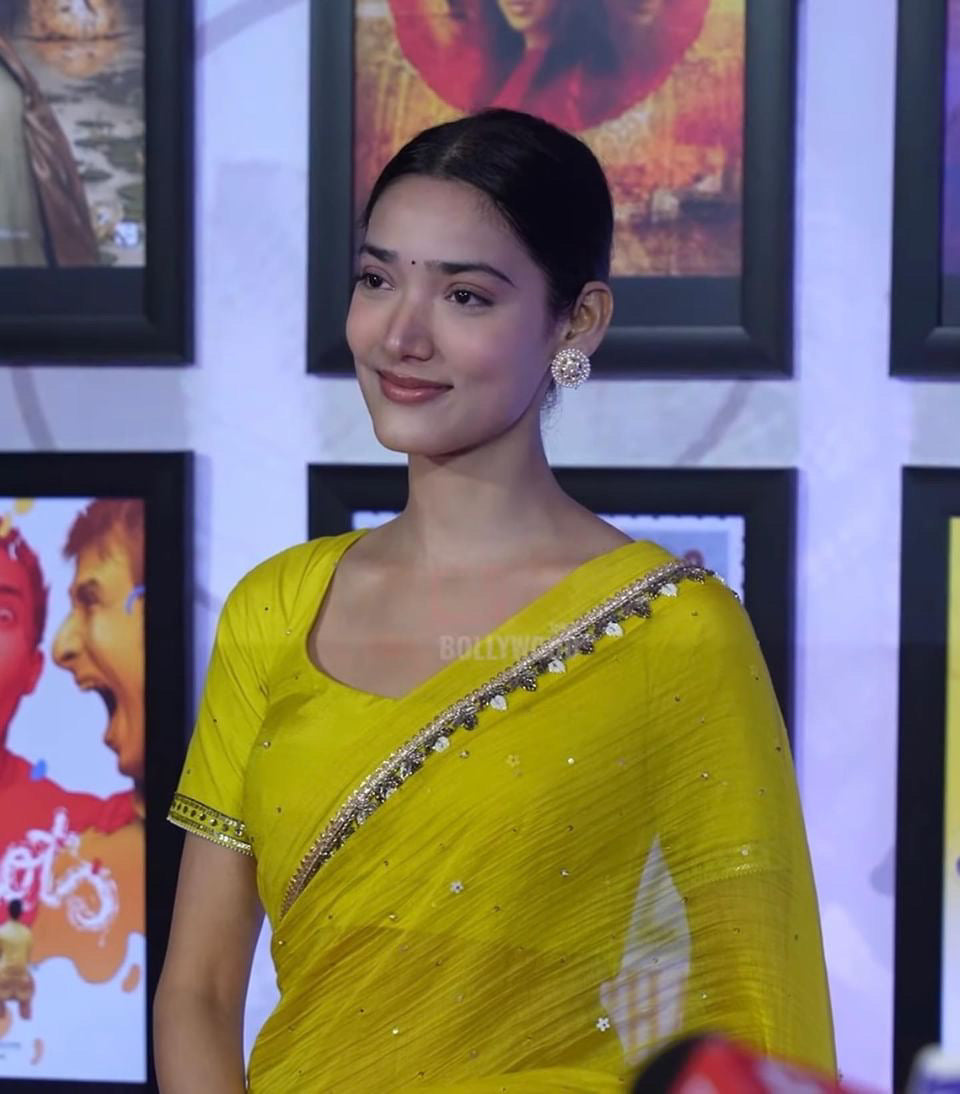 ZARDOZI BORDER SAREE