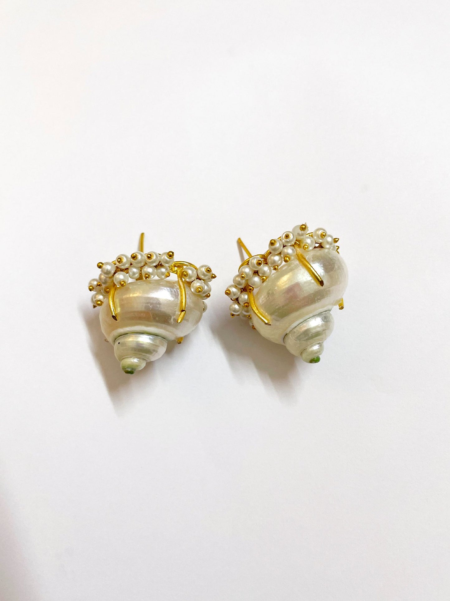 Shell Stud Earrings