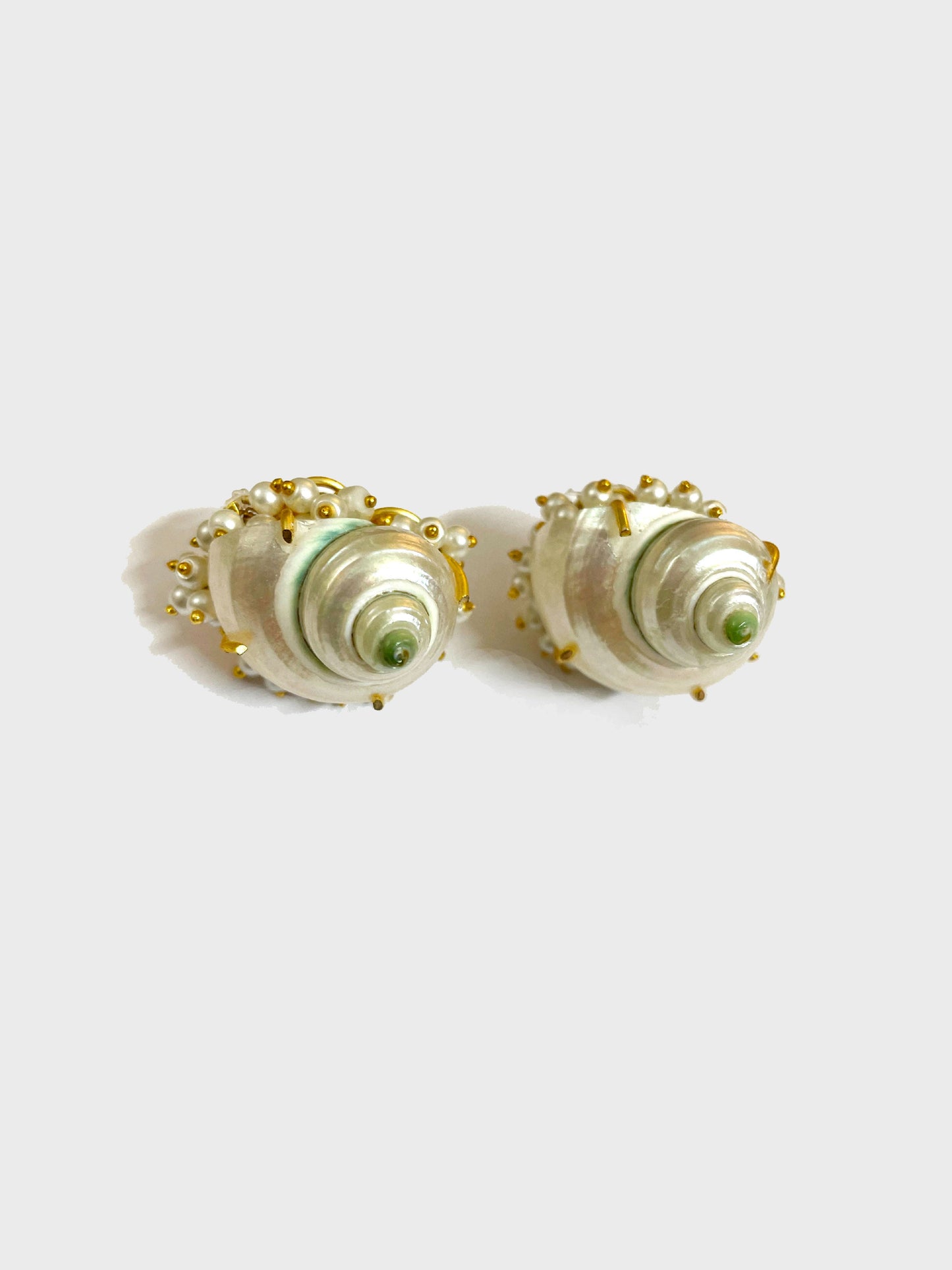 Shell Stud Earrings