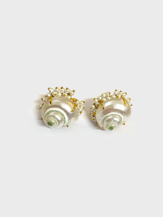 Shell Stud Earrings